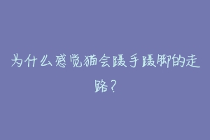 为什么感觉猫会蹑手蹑脚的走路？