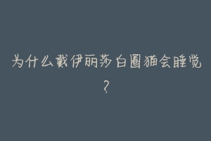 为什么戴伊丽莎白圈猫会睡觉？