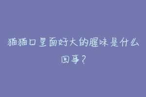 猫猫口里面好大的腥味是什么回事?