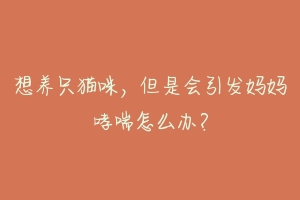 想养只猫咪,但是会引发妈妈哮喘怎么办?