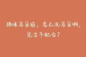 猫咪耳朵脏，怎么洗耳朵啊，完全不配合？