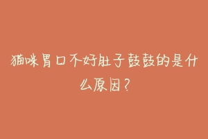 猫咪胃口不好肚子鼓鼓的是什么原因？