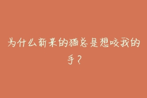 为什么新来的猫总是想咬我的手?