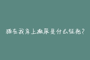猫在我床上撒尿是什么征兆?