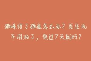 猫咪得了猫瘟怎么办?医生说不用治了,熬过7天就好?