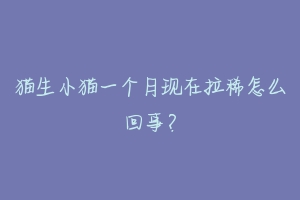 猫生小猫一个月现在拉稀怎么回事?