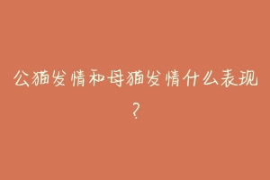 公猫发情和母猫发情什么表现?