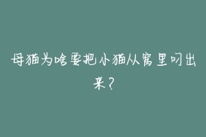 母猫为啥要把小猫从窝里叼出来？