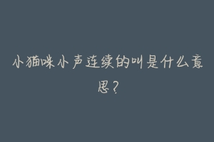 小猫咪小声连续的叫是什么意思?