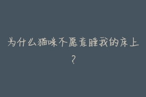 为什么猫咪不愿意睡我的床上?