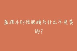 蓝猫小时候眼睛为什么不是黄的?
