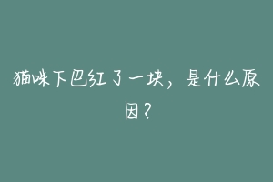 猫咪下巴红了一块，是什么原因？