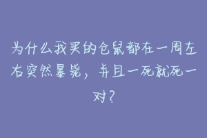 为什么我买的仓鼠都在一周左右突然暴毙,并且一死就死一对?