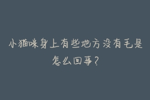 小猫咪身上有些地方没有毛是怎么回事？