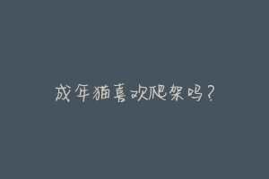 成年猫喜欢爬架吗？