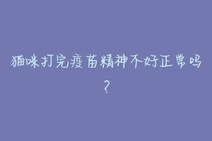猫咪打完疫苗精神不好正常吗?