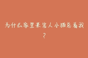 为什么家里来客人小猫总看我？