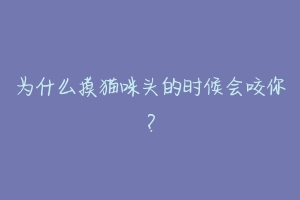 为什么摸猫咪头的时候会咬你?