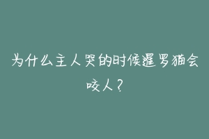 为什么主人哭的时候暹罗猫会咬人？