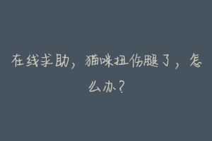 在线求助，猫咪扭伤腿了，怎么办？