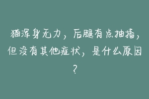 猫浑身无力,后腿有点抽搐,但没有其他症状,是什么原因?