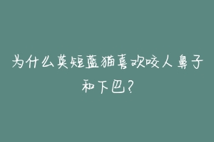 为什么英短蓝猫喜欢咬人鼻子和下巴？