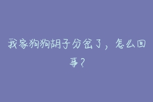 我家狗狗胡子分岔了,怎么回事?