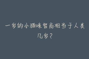 一岁的小猫咪智商相当于人类几岁？
