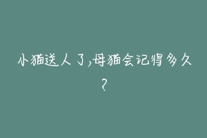 小猫送人了,母猫会记得多久?