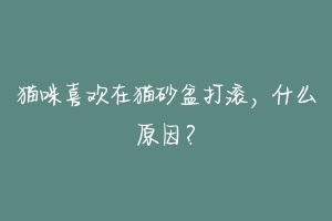 猫咪喜欢在猫砂盆打滚,什么原因?