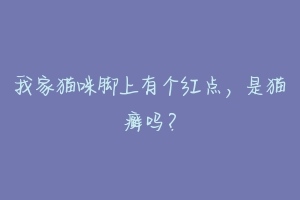 我家猫咪脚上有个红点,是猫癣吗?