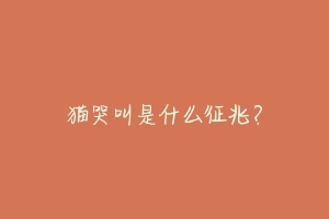 猫哭叫是什么征兆?