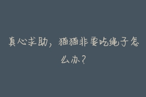 真心求助,猫猫非要吃绳子怎么办?