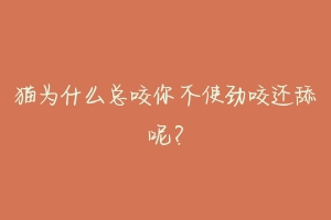 猫为什么总咬你不使劲咬还舔呢?