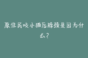 原住民咬小猫后脖颈是因为什么?