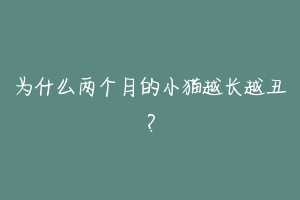 为什么两个月的小猫越长越丑?