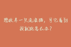 想收养一只流浪猫，可它看到我就跑怎么办？