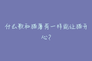 什么歌和猫薄荷一样能让猫开心?