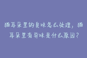 猫耳朵里的臭味怎么处理,猫耳朵里有异味是什么原因?