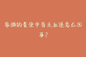 家猫的粪便中有点血迹怎么回事？