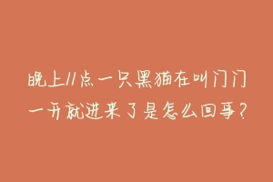 晚上11点一只黑猫在叫门门一开就进来了是怎么回事?