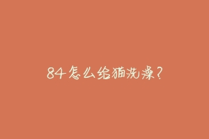 84怎么给猫洗澡?