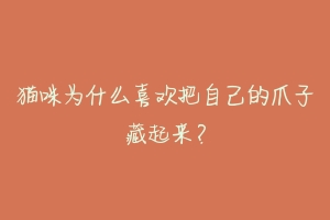 猫咪为什么喜欢把自己的爪子藏起来?