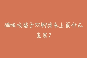 猫咪咬被子双脚骑在上面什么意思？