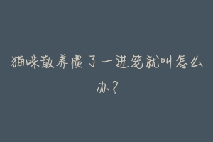 猫咪散养惯了一进笼就叫怎么办?