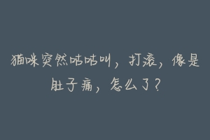 猫咪突然咕咕叫,打滚,像是肚子痛,怎么了?