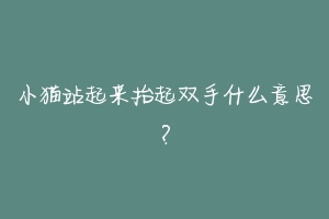 小猫站起来抬起双手什么意思?