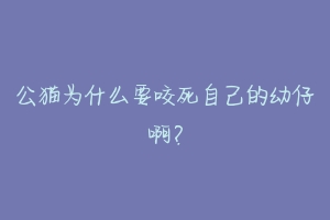 公猫为什么要咬死自己的幼仔啊？