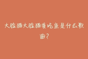 大脸猫大脸猫爱吃鱼是什么歌曲?