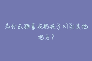 为什么猫喜欢把孩子叼到其他地方？